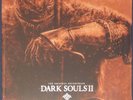 Bespoke Dark Souls II and more listing for vgxw8017.