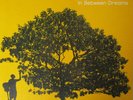 Jack Johnson ‎– In Between Dreams 180g VINYL LP NEW & SEALED