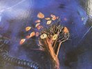 The Moody Blues On The Threshold Of A Dream Superdisc Vinyl LP Record