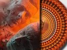 MUSE - WILL OF THE PEOPLE - ZOETROPE VINYL - Preorder  26/08/22 - Sold Out - New