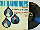 The Raindrops Lp Ellie Greenwich Girl Group 1963 Jubilee Records jgm 5023