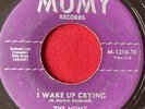 THE MUMY _ Sweet Soul / Funk _ DONT LET THE SUN CATCH YOU CRYING 45 Breaks 7