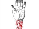 Converge `Converge - You Fail Me: Redux [LP] (White Vinyl, downloa VINYL LP NEUF
