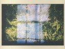 COOPER, Erland - Music For Growing Flowers - Vinyl (heavyweight vinyl LP)
