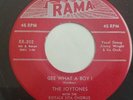 R&B DOO WOP 45 by THE JOYTONES HEAR IT