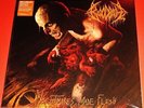 Bloodbath: Nightmares Made Flesh - Limited Edition LP Orange Color Vinyl EU NEW