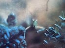 STEELY DAN - KATY LIED - ORIGINAL MASTER RECORDING - NEAR MINT VINYL - 1978