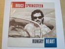 Bruce Springsteen - Hungry Heart - Very Rare Holland 7