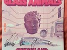 IN HAND  SIGNED Glass Animals - Dreamland GLOW IN THE DARK VINYL