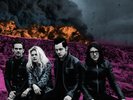 The Dead Weather - Dodge And Burn NEW Sealed Vinyl LP Album