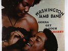 Washington Jamb Band - Gonna Get Your Cherry LP - Leo Rare Funk Soul SEALED MP3