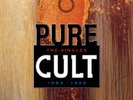 Cult, The - Pure Cult Singles Compilation - Vinyl Record 2LP Import