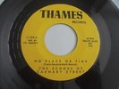 The Echoes Of Carnaby Street - No Place Or Time 1966 USA 45 THAMES EX+ GARAGE
