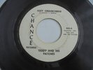 Teddy And His Patches - Suzy Creamcheese 1967 USA 45 CHANCE GARAGE PSYCH