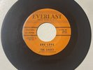 Logics 1962 DOO WOP 45 One Love / Everybody's Doing The Pony EVERLAST VG+ HEAR