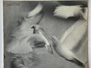 Donald Byrd  Free Form  w/  Wayne Shorter  Herbie Hancock  Blue Note  LP