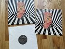 2013 Cage The Elephant Melophobia Album US 1st Vinyl Record LP With Insert (GUC)
