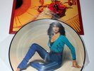 KATE BUSH  The Kick Inside Rare Picture Disc