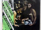 JIMI HENDRIX ELECTRIC LADYLAND POLYDOR MPX 9955,6 JAPAN OBI, INSERT VINYL 2LP