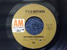 THE MAGIC MUSHROOMS “IT’S-A-HAPPENING