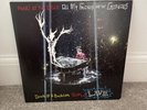 Panic  At The Disco Vinyl  All My Friends We’re glorious