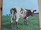 PINK FLOYD ATOM HEART MOTHER ON VINYL IN  VERY GOOD CONDITION