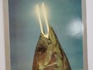 Reo Speedwagon  - You Can Tune a Piano but You Can’t Tuna Fish -- VG+
