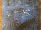 Rift by Phish - Deluxe Vinyl Edition - Numbered #8901 (2 Marbled LP Set - 2015)