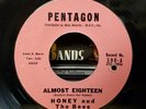 Honey & The Bees - Almost Eighteen/Please Go Away - Pentagon 45 VG+ N.SOUL RARE