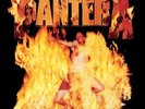 Pantera - Reinventing the Steel - LP Vinyl - NE