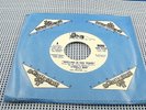 STEELY DAN -Reeling In The Years - NEAR MINT 1972 PROMO USA Press 45