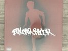 Box Car Racer Vinyl LP - Brand New