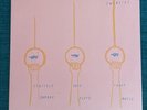 SWIRLIES - strictly east coast /they spent their wild 2 x LP pavement shoegaze