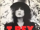 T.Rex - The Slider - Original 1972/1982 vinyl LP - Excellent Condition