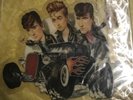 VINYL STRAY CATS (She's Sexy) Shaped Picture Disc 1983 SCAPD6 UK 7