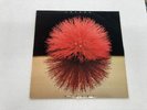 YUTAKA YOKOKURA LOVE LIGHT 1981 GOLD STAMP PROMO VINYL 9.0, SLEEVE 5.0