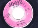 REGGAE BOYS - THE WICKED / LLOYD WILLIS - MAD ROOSTER - JOGIB