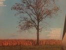 GEORGE WINSTON Autumn Piano Solos