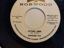 GREAT DOO WOP BALLAD 1ST PRESS 45 BY 