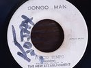 Pocco Tempo - The New Establishment