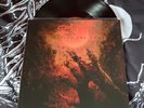 SUFFOCATION despise the sun VINYL LP death metal Morpheus descends broken hope