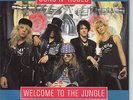 GUNS N' ROSES  Welcome to the jungle PICTURE SLEEVE 7