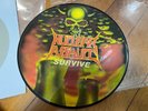 NUCLEAR ASSAULT -survive RARE FIRST PRESS U.K. PIC DISC 1988 metallica