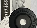 MORRISSEY/The Smiths -Hairdresser On Fire- Rare Japan 1 Sided Etched Promo 7