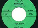 CRYSTAL TONES A Girl I Love / Debra-Lee M.Z. CT Doo Wop 45 Hear
