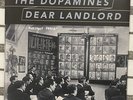 The Dopamines / Dear Landlord Split Ep Colored Vinyl Punk Rock EP Portrait Parle