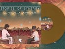 Tonion x xander. - Stories of Synergy Vinyl LP (Limited) Chilledcow Lofi Girl