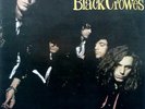 The Black Crowes - Shake Your Money Maker [Vinyl Greek Press 1991 Southern Rock]