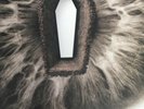 Metallica - Death Magnetic - Limited Edition 5 LP Box Set - 180g Vinyl 12