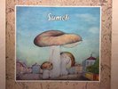 SAMETI - SAME LP 1972 KRAUTROCK KRACHER ON GREEN BRAIN LABEL EXCELLENT TOP